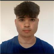 Profesor graduado en bachillerato sin experiencia dando clase , pero con un nivel de inglés nativo , especializado en conversacion